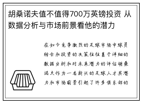 胡桑诺夫值不值得700万英镑投资 从数据分析与市场前景看他的潜力
