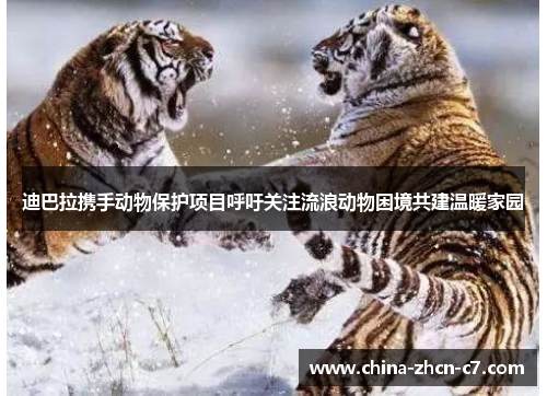 迪巴拉携手动物保护项目呼吁关注流浪动物困境共建温暖家园 迪巴拉携手动物保护项目呼吁关注流浪动物困境共建温暖家园