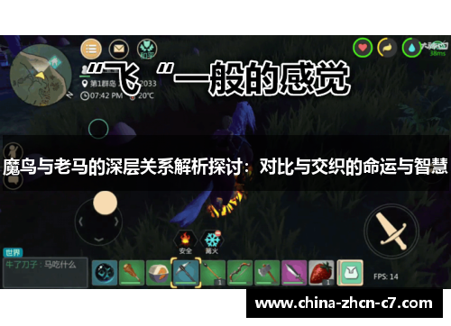 魔鸟与老马的深层关系解析探讨：对比与交织的命运与智慧